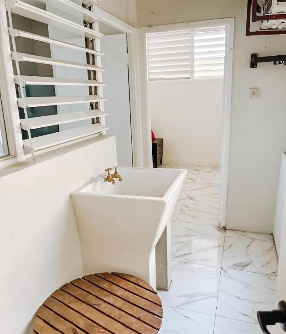 New Kingston Vibes Apartment