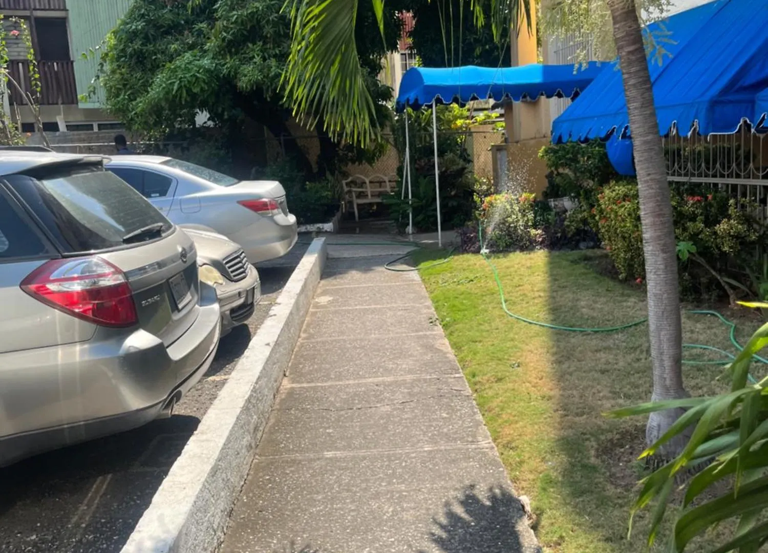 New Kingston Vibes Apartment Jamaica
