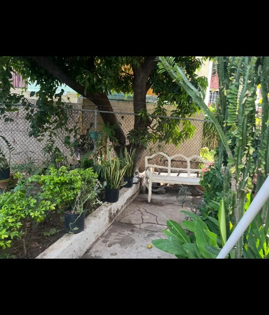 New Kingston Vibes Apartment